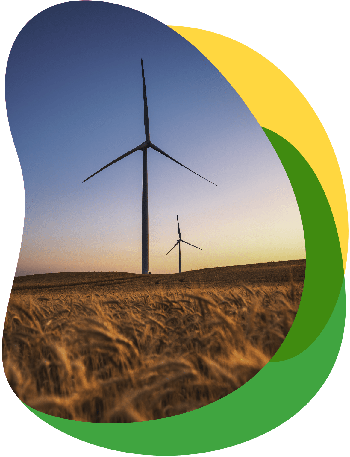 Renewable Energy